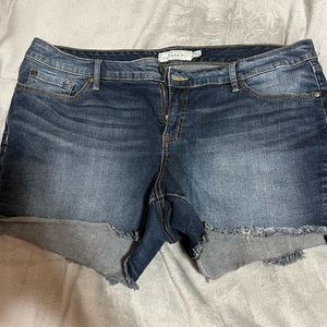 Torrid shorts